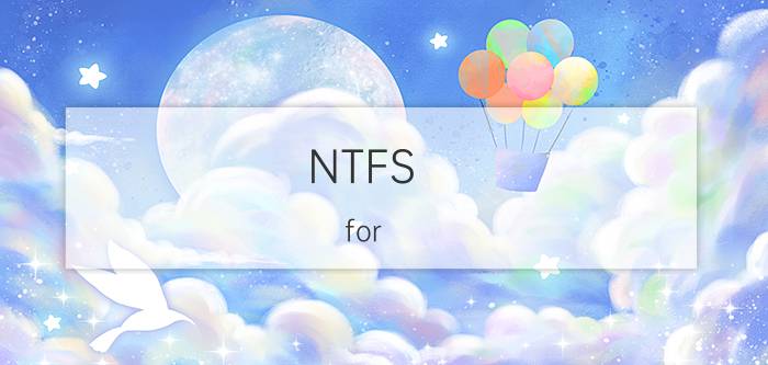 NTFS（for DOS 驱动程序如何使用?）